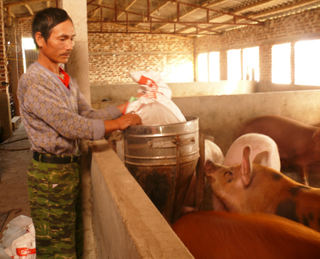 Hưng Yên Bảo đảm nguồn cung ứng thực phẩm dịp tết